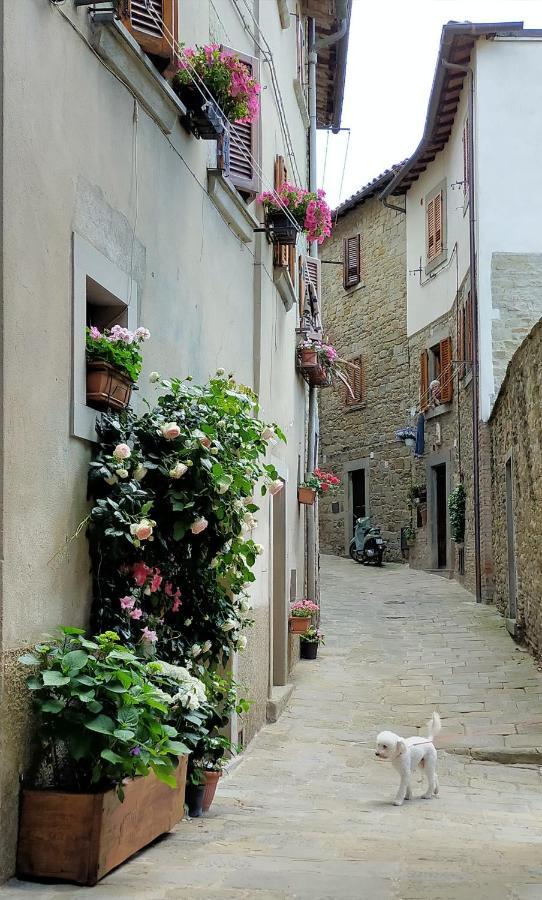 Casa Agata, Accogliente Appartamento Nel Centro Storico كورتونا المظهر الخارجي الصورة